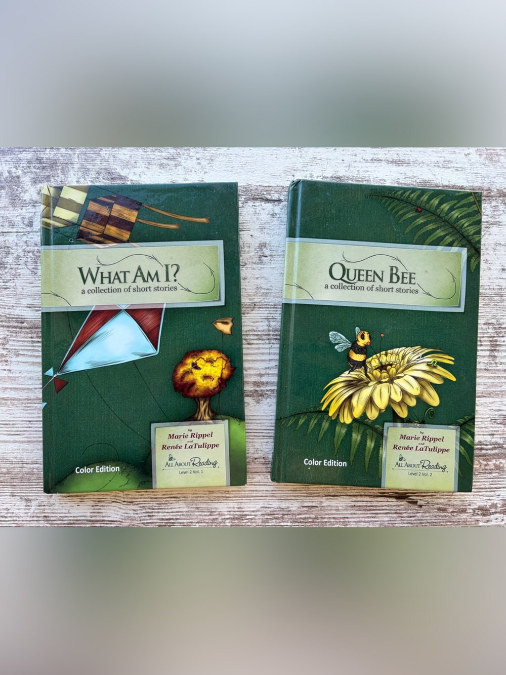 All About Reading Level 2 Colored Books & Phonics Cards Homeschool Curriculum